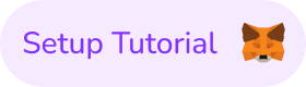 MetaMask Wallet Installation and Configuration Guide Button