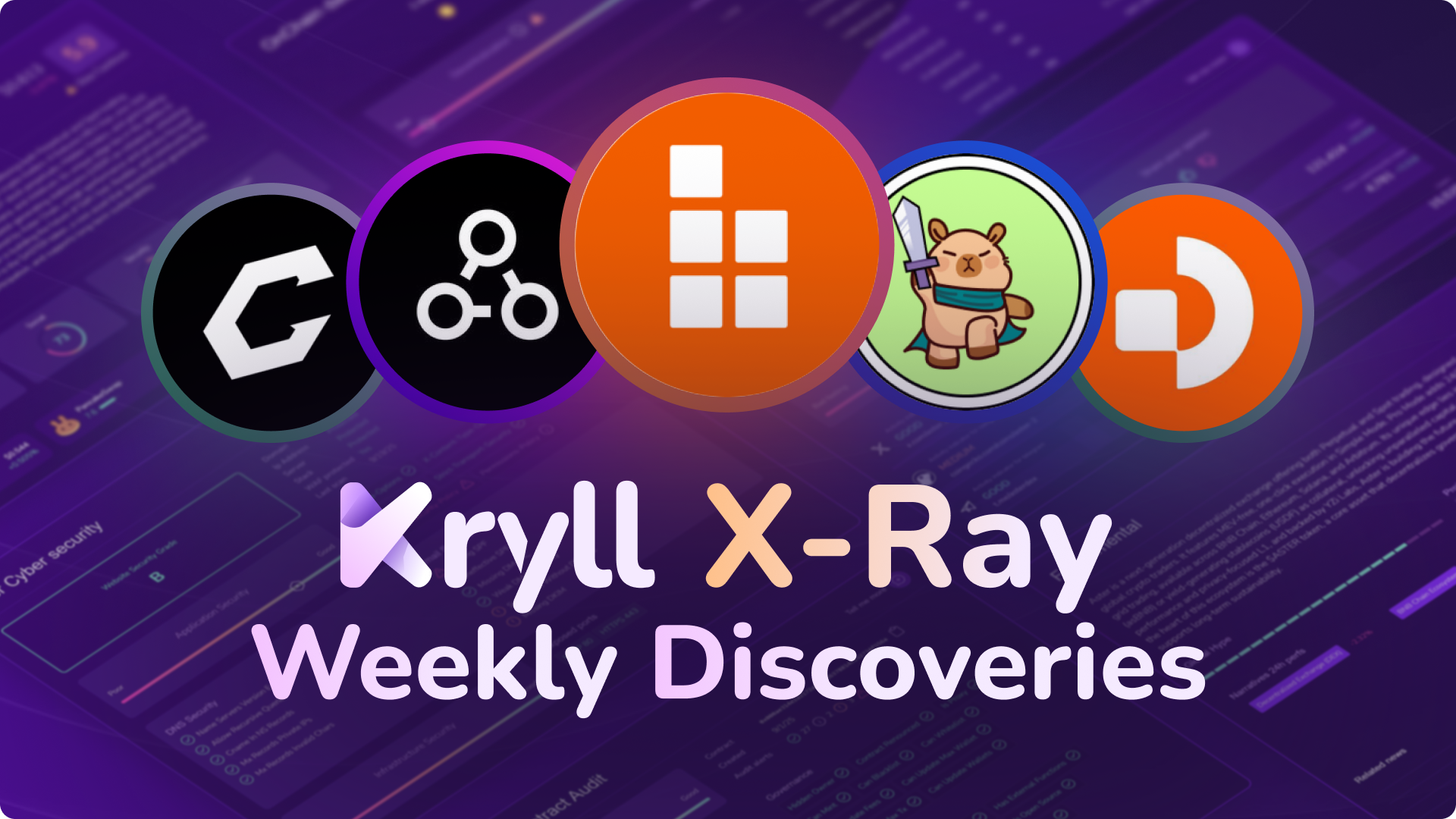 X-Ray Weekly Discoveries Week 49 | Audit of $BOB, $OOB, $PYBOBO, $CHECK & $DGRAM