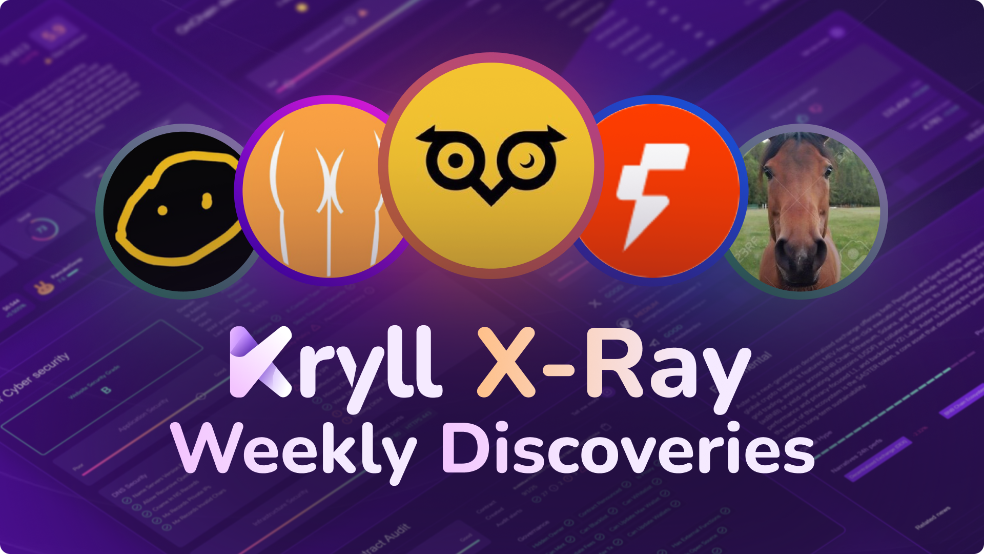 X-Ray Weekly | Audit of $OWL, $BUTTCOIN, $FOGO, $TESTICLE & $HORSE